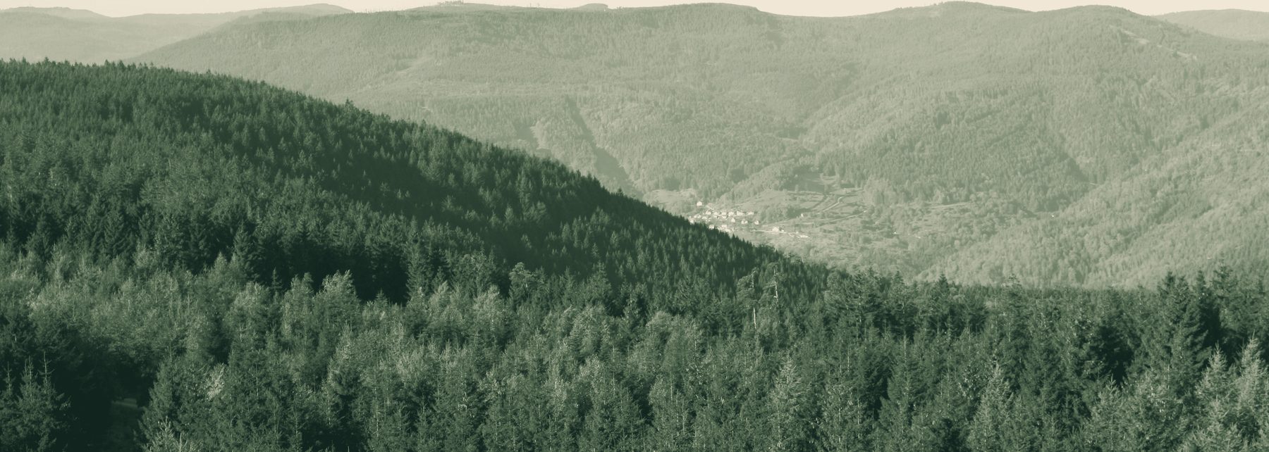 Blick über das Murgtal — vom Hohlohturm Richtung Hornisgrinde